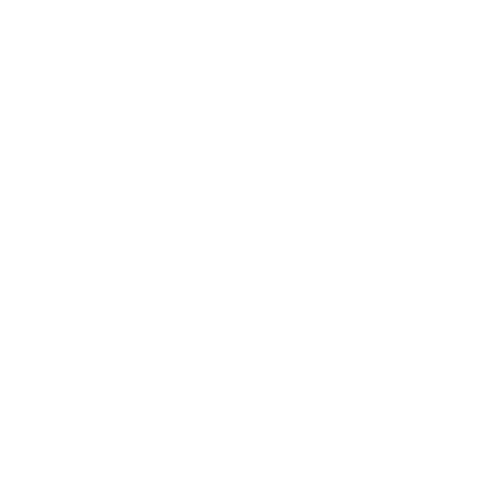Model Risk Governance