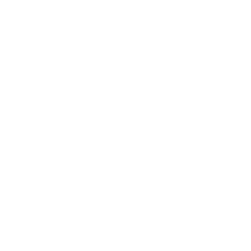 Credit Risk Model Development