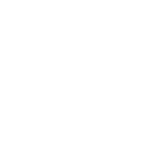 Risk & Model Training
