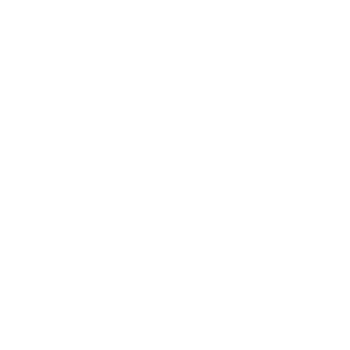Transparent Model Platforms